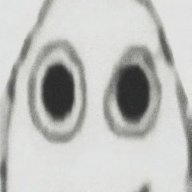 panslavic (中国党万岁)